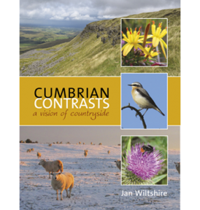 Cumbrian Contrasts