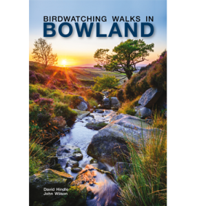 Birdwatching Walks in Bowland